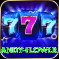andy flower App Plus v2.4.1