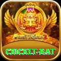 cricket bat - Gaming Pro