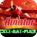 cricket bat - Supreme v3.5.2