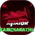 dimuth karunaratne - Premium Edition v3.8.3