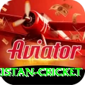 india pakistan cricket Gold APK v5.2.1