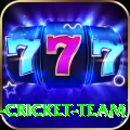 ireland cricket team APK Extreme v3.4.8