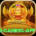 PKZ88 Premium Gaming App