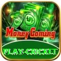 play cricket Slots VIP v1.1.4