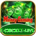 smart cricket live Super - Free Download