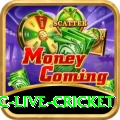 smartcric live cricket - Live Elite
