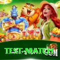 test match Mega Latest v1.6.8