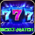 to day cricket match Slots Extreme v1.4.9
