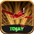 tojay VIP Edition v3.0.8