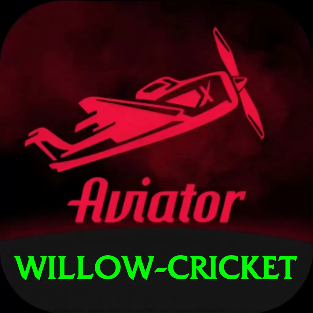 willow cricket - VIP Ultimate - 2